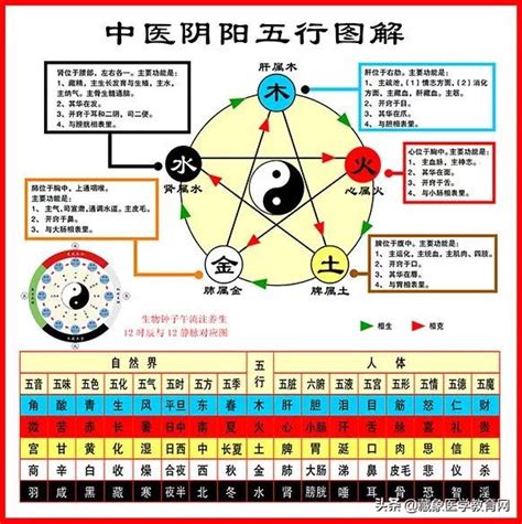 中醫五行屬性|第9講第一章 第二節 陰陽學說 五行學說